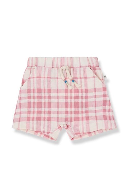  1+ in the family | GOLATRAWBERRY